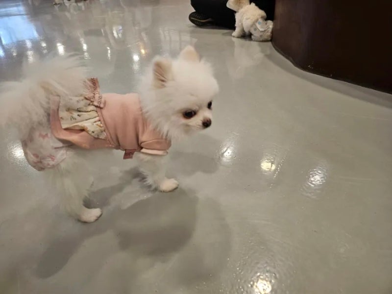 사진 3