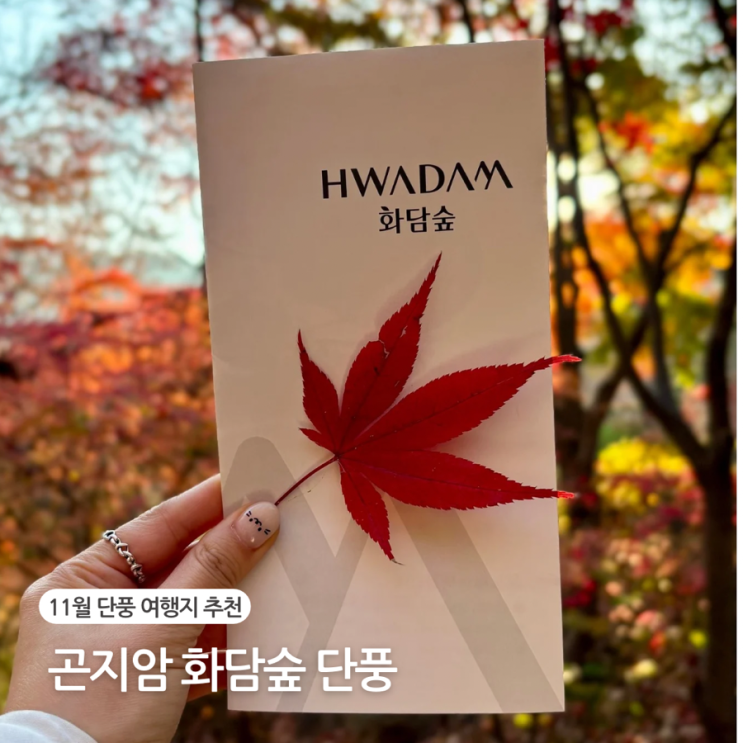  곤지암 화담숲 단풍 11월 셋째주 후기 취소표 예약 모노레일 탑승