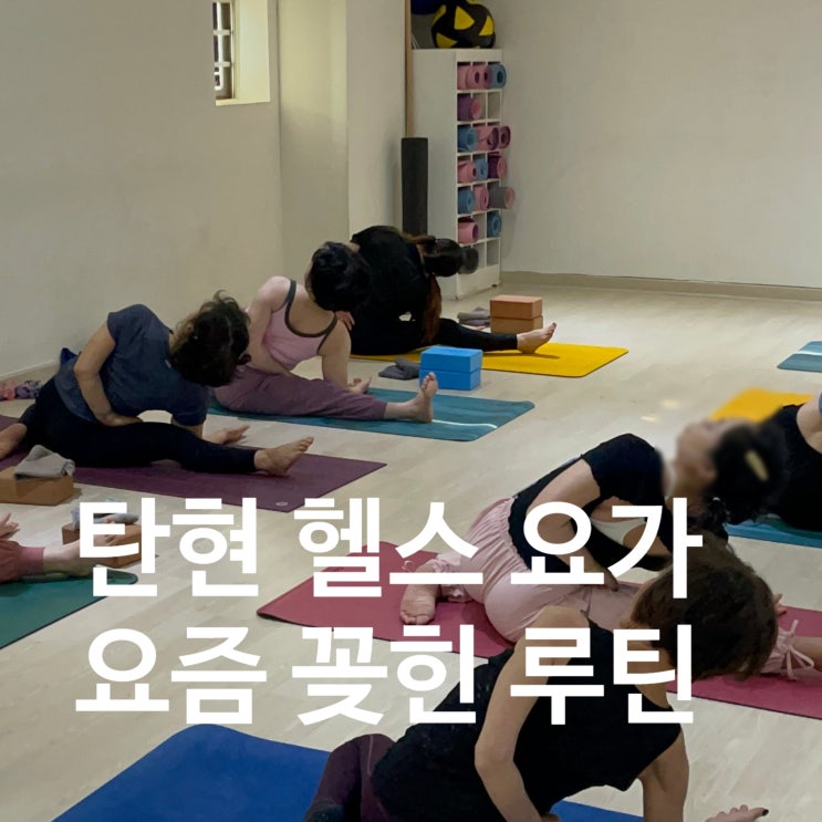  탄현 헬스 요가 요즘 꽂힌 루틴