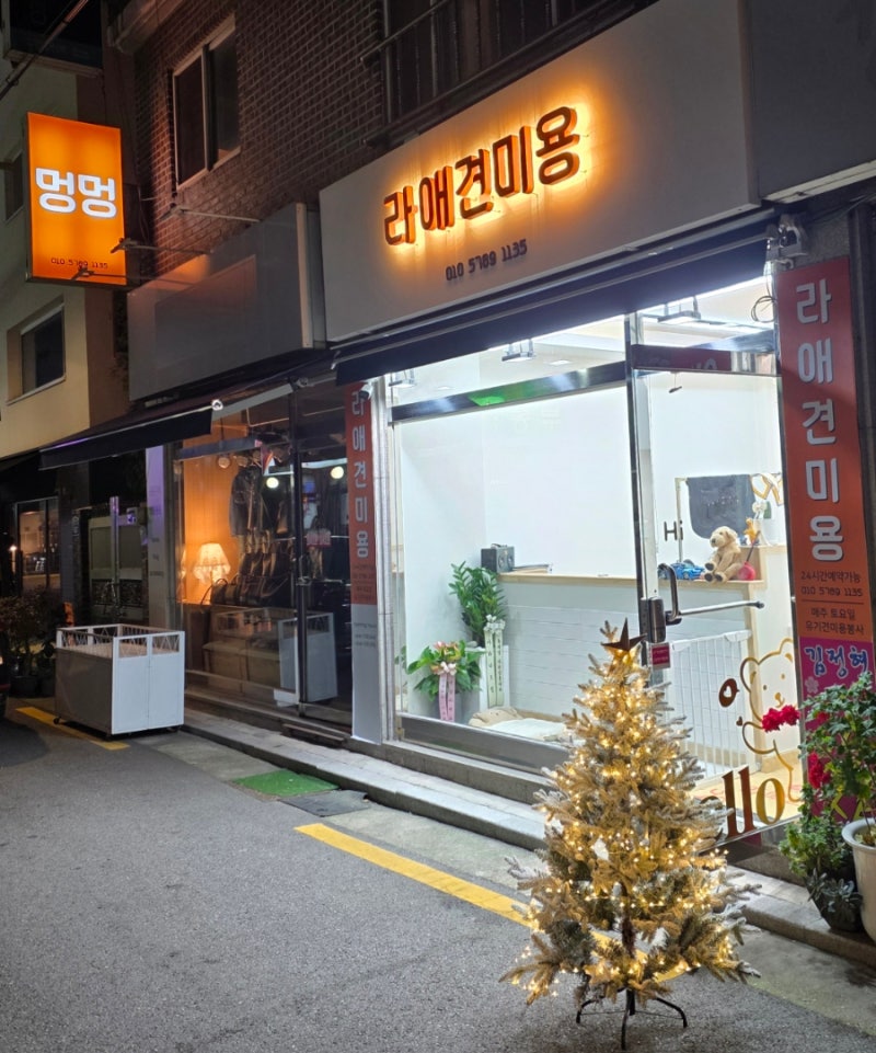 라애견미용