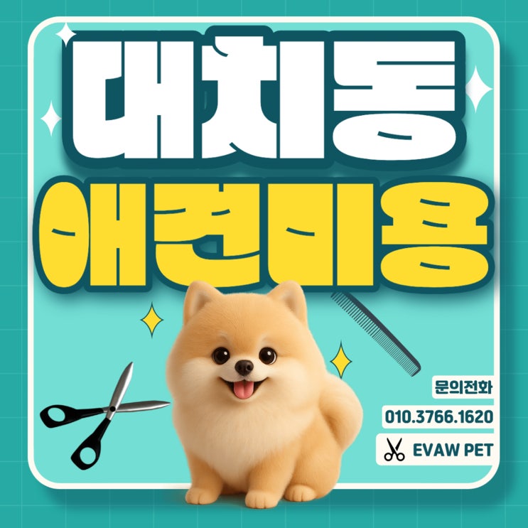  대치동애견미용학원 자격증, 대학 진학, 취업 준비를 동시에 잡는 전략