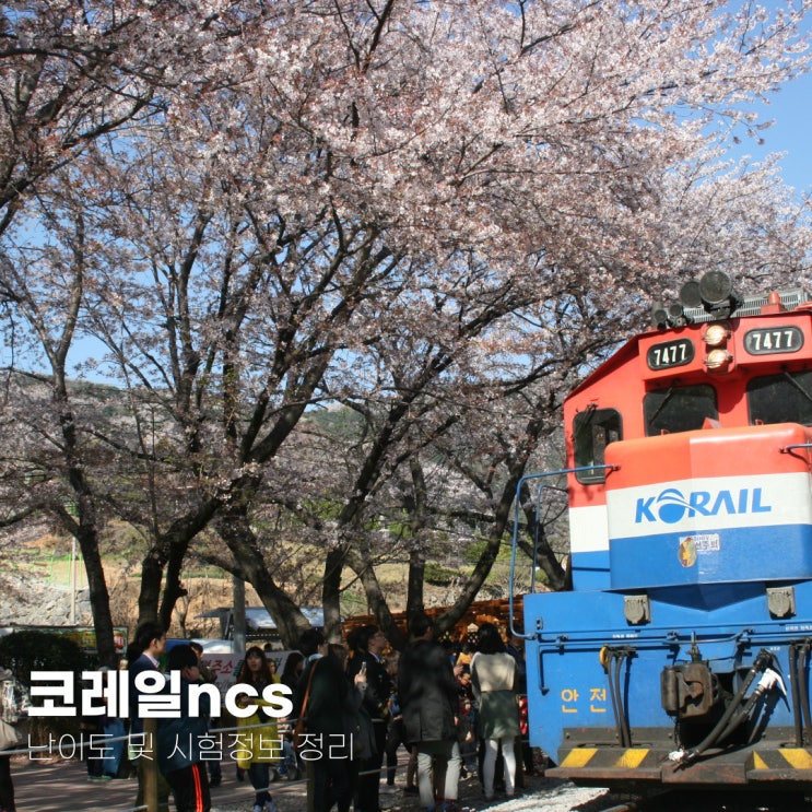  코레일ncs 난이도 및 시험정보 정리