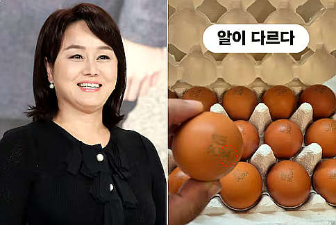 이경실 계란 가격 논란, 사육환경 4번 계란이 1만5천원대? (ft. 우아란)