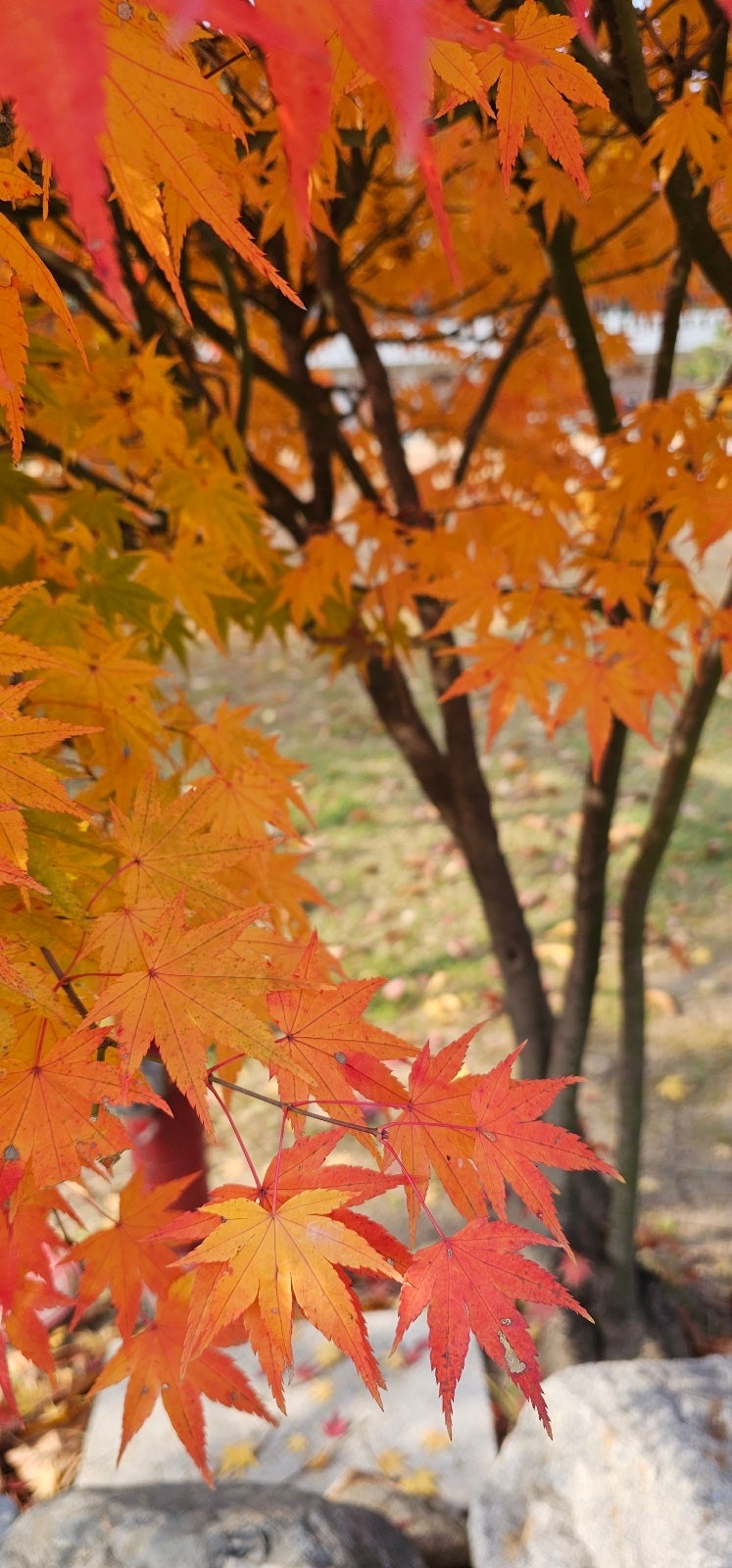 정책지식 2025.11.19. : 네이버 블로그