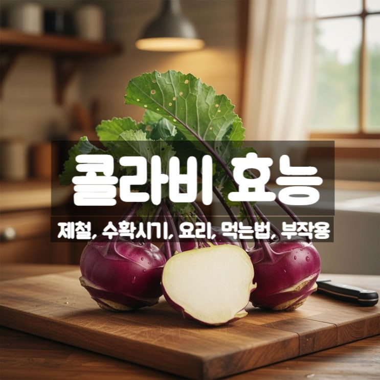 콜라비 효능 부작용 김치 요리 먹는법 수확시기 제철 정보