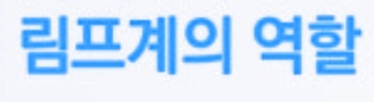  "우리 몸의 청소부 림프계, 제대로 알고 관리하자!"