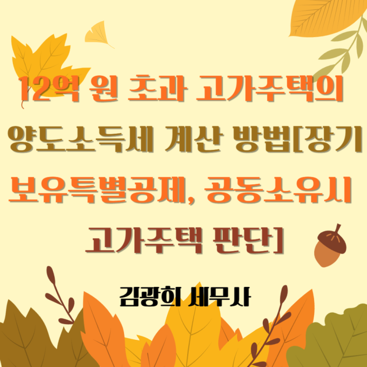 12억 원 초과 고가주택의 양도소득세 계산 방법[장기보유특별공제, 공동소유시 고가주택 판단]