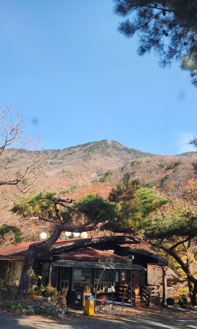브이로그: 운문산 자연휴양림