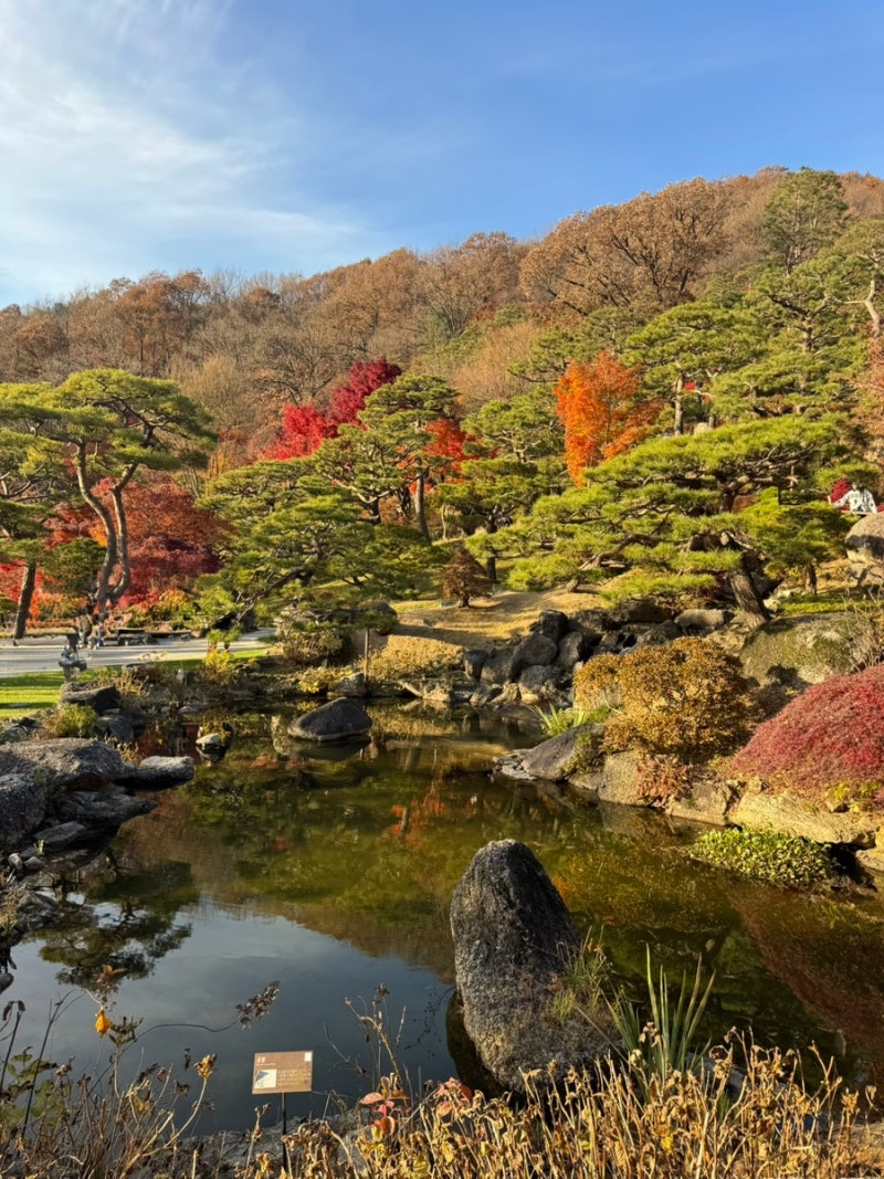 경기도 화담숲 단풍놀이, 봄에 오면 더 좋을 듯? 2025년 11월 15일