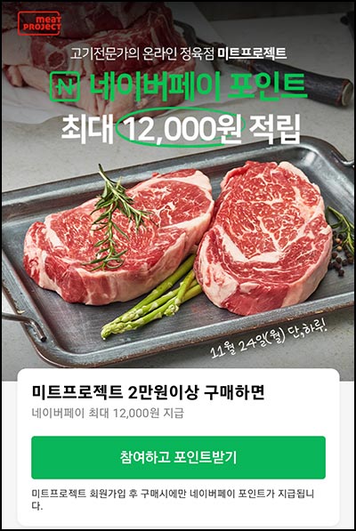  미트프로젝트 네이버페이 2만이상(네페 1.2만원 지급)페이코~11.24