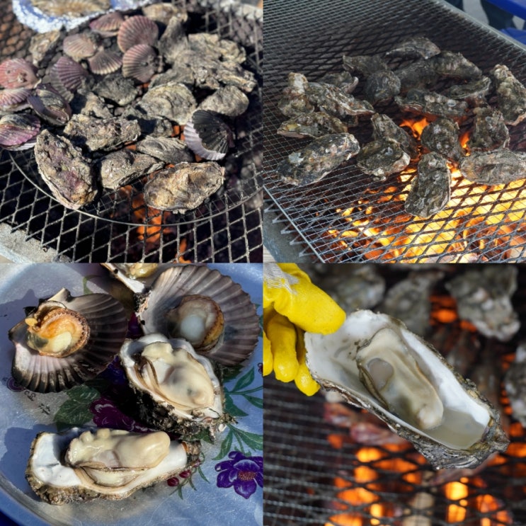  사천 굴구이 맛집 원조 비토섬 한마당굴구이 사천전어 후기