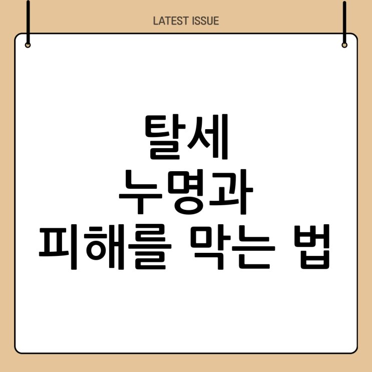  탈세제보의 중요성과 절차