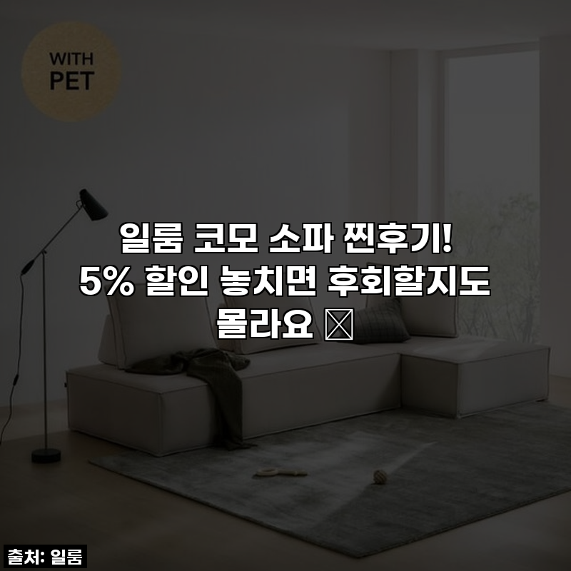 일룸 코모 소파 찐후기! 5% 할인 놓치면 후회할지도 몰라요