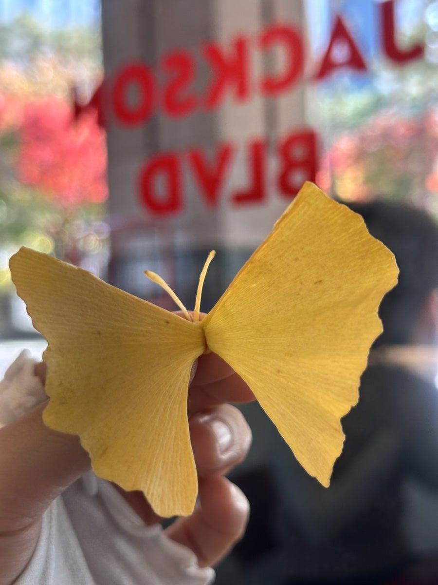 잭슨피자 이촌점 사진 6