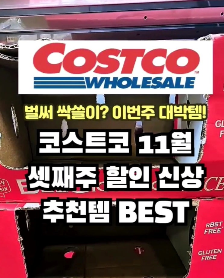  코스트코 11월 셋째주 할인 세일
