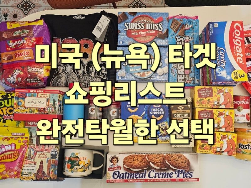 뉴욕 미국 타겟 쇼핑리스트 미국여행