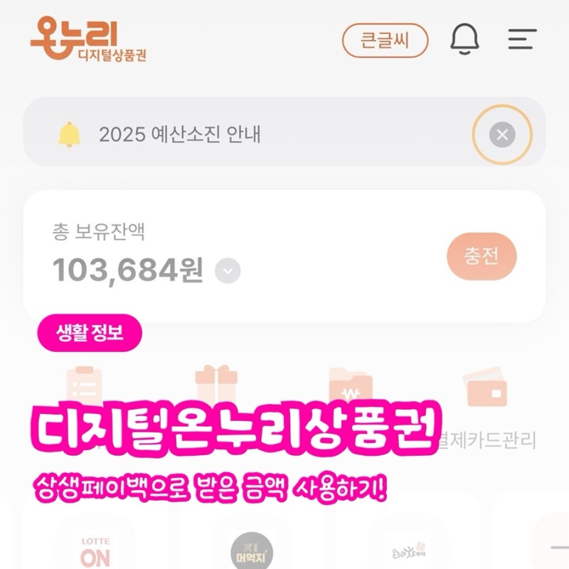 상생페이백으로 받은 디지털온누리상품권 현장 결제 사용 방법!