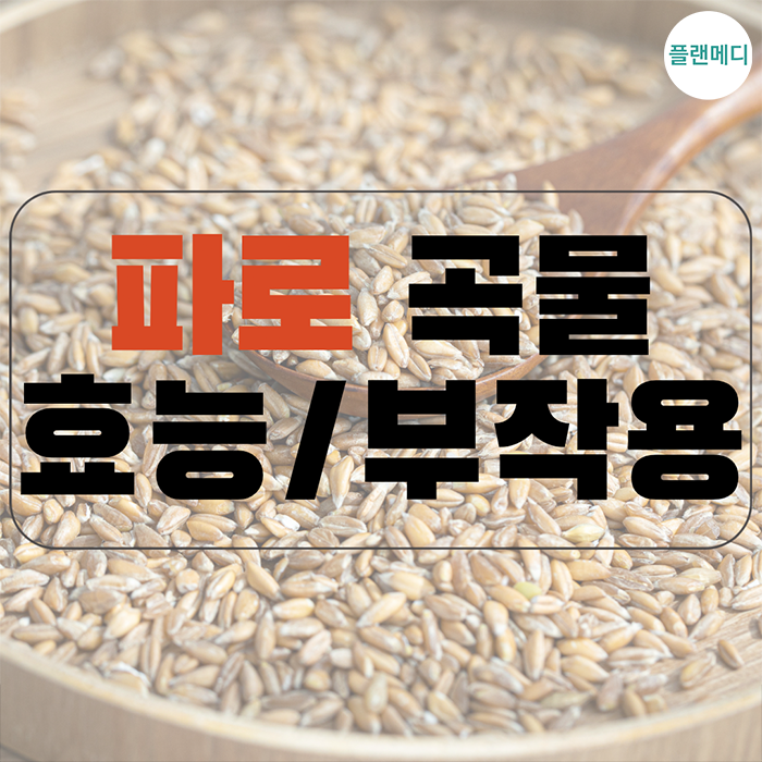 파로 곡물 효능 및 부작용 먹는법 칼로리 신장/변비/혈당 관련 등 총정리