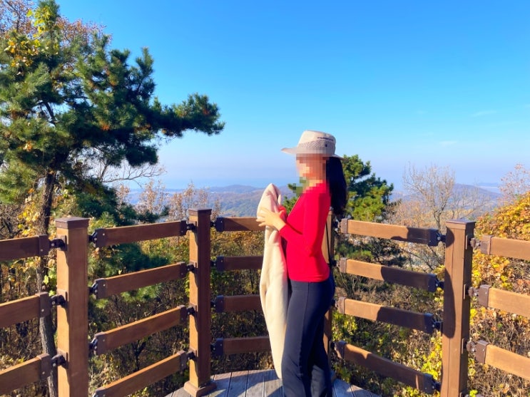  해운산 등산코스 소개 – 초보자도 즐기는 힐링 산책 산행