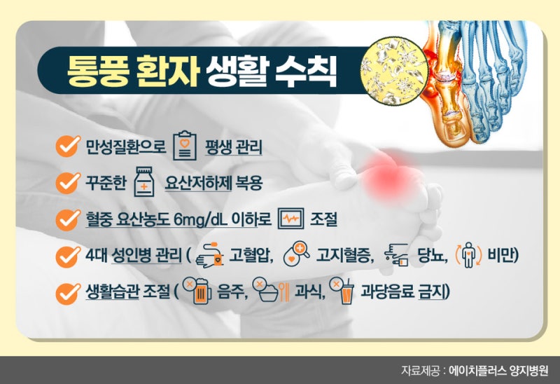 “통풍, 왜 생기고 어떻게 고칠까? 통풍 원인·요산 수치·좋은 음식·약물치료 총정리”