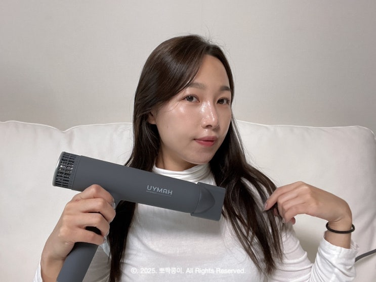  전문가용 헤어드라이기 추천 가벼운 하뮤 BLDC 드라이어