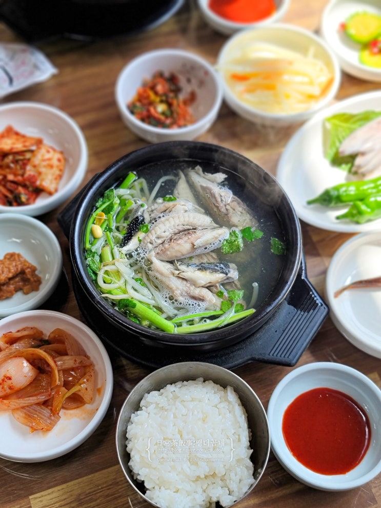  통영 복국 맛집 통영 부일식당 주차장 쫄복 여객터미널 맛집