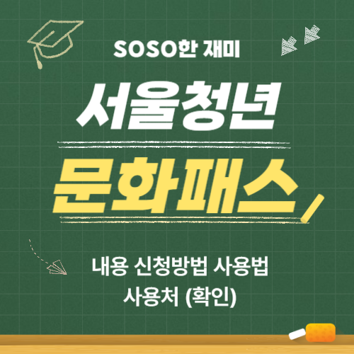 서울청년문화패스 내용 신청방법 사용법 사용처 (확인)