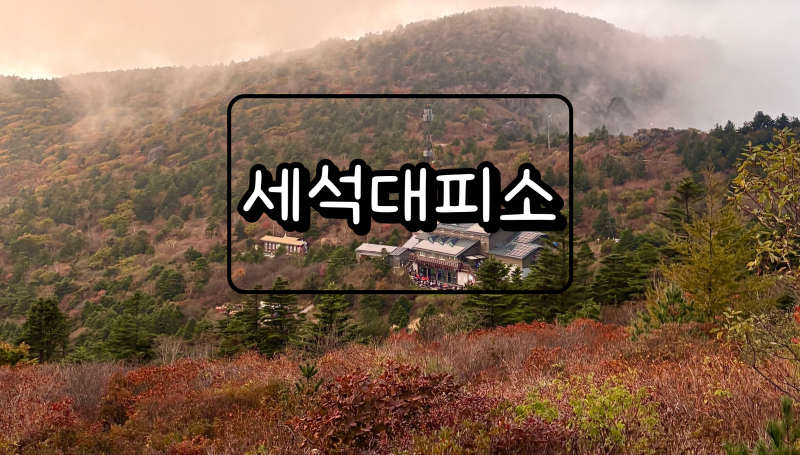 [경남 산청] 지리산 세석대피소 명당 자리 4호실 후기, 침낭 필요 없는 난방 수준?