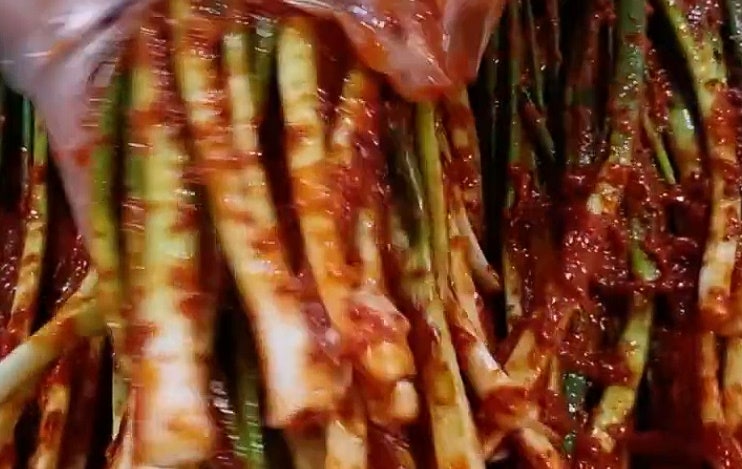 쪽파김치/절이지 않는 간단 레시피
