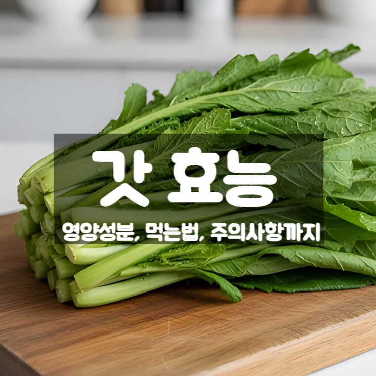  갓 효능 부작용 먹는법 – 겨자향이 주는 강한 항염 채소