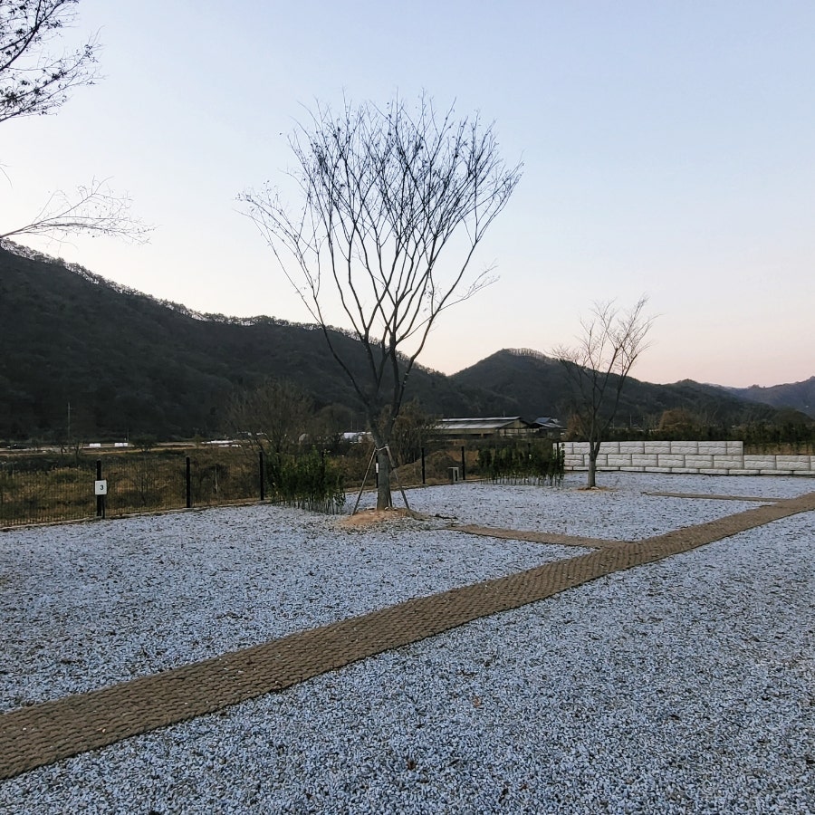 봄이네캠핑장 사진 6