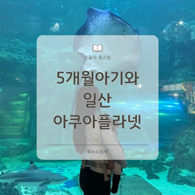 5개월 아기 가볼만한 곳 일산 아쿠아플라넷 주차 푸드코트 관람팁