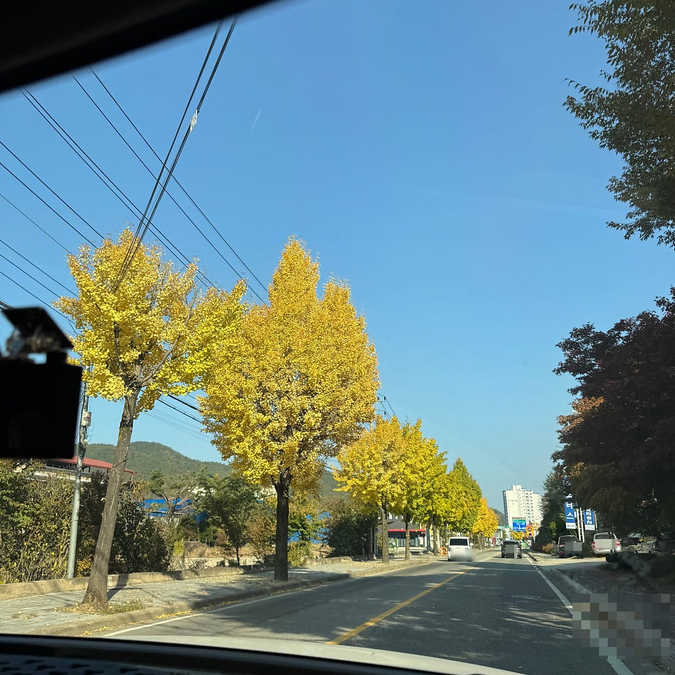 강나루 사진 5