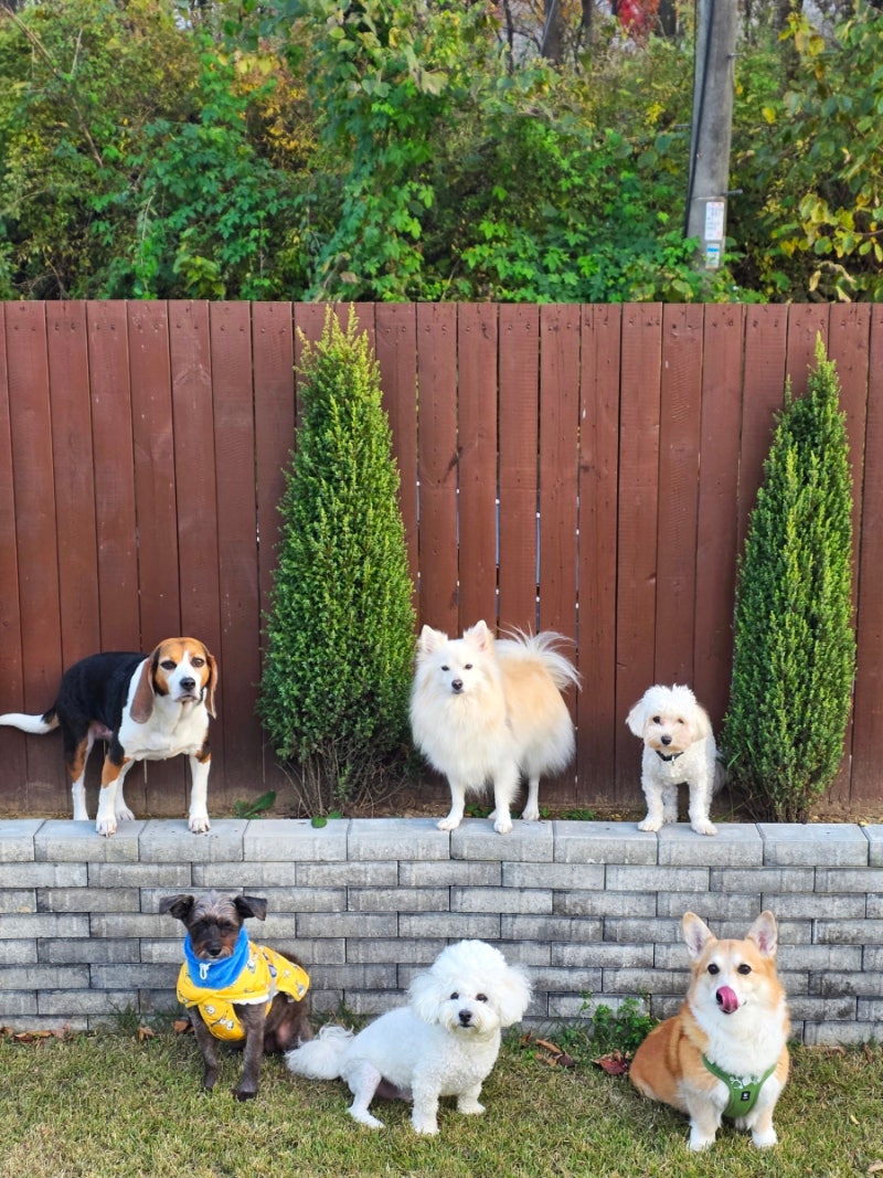 안슈하우스