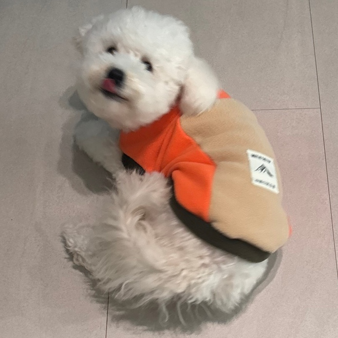  강아지 겨울조끼 캠핑 감성 후리스 루비바 강아지하네스조끼와 서울숲 강아지 산책