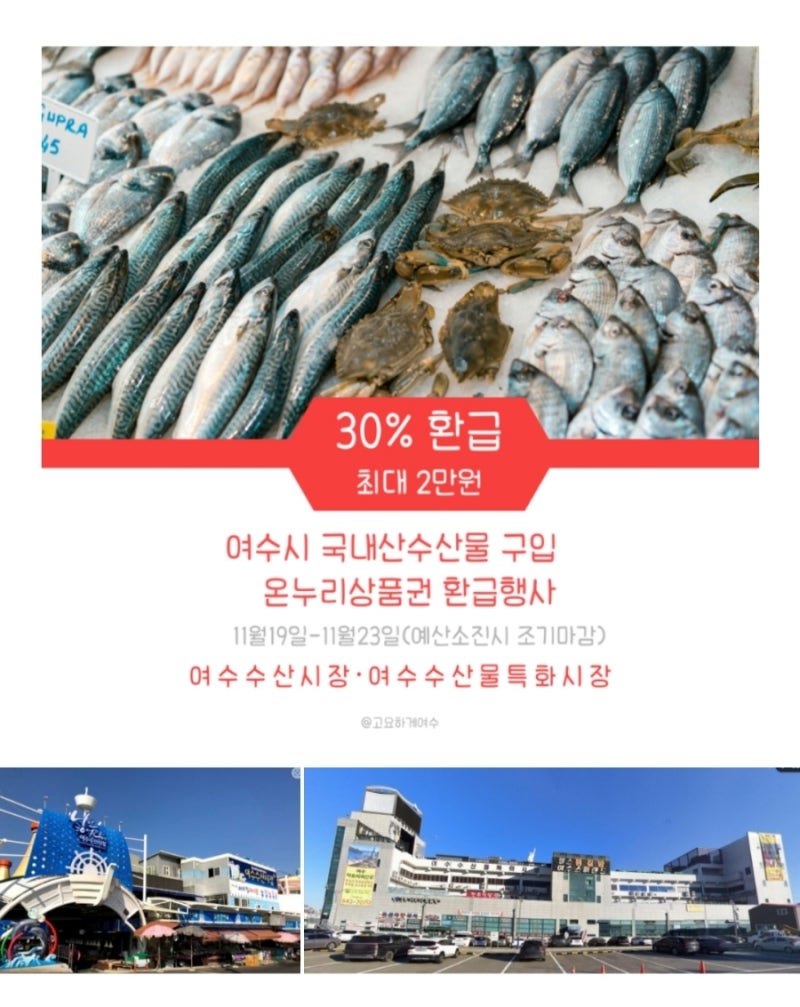 여수시, 수산물 구매 시 온누리상품권 환급행사 11.19-11.23