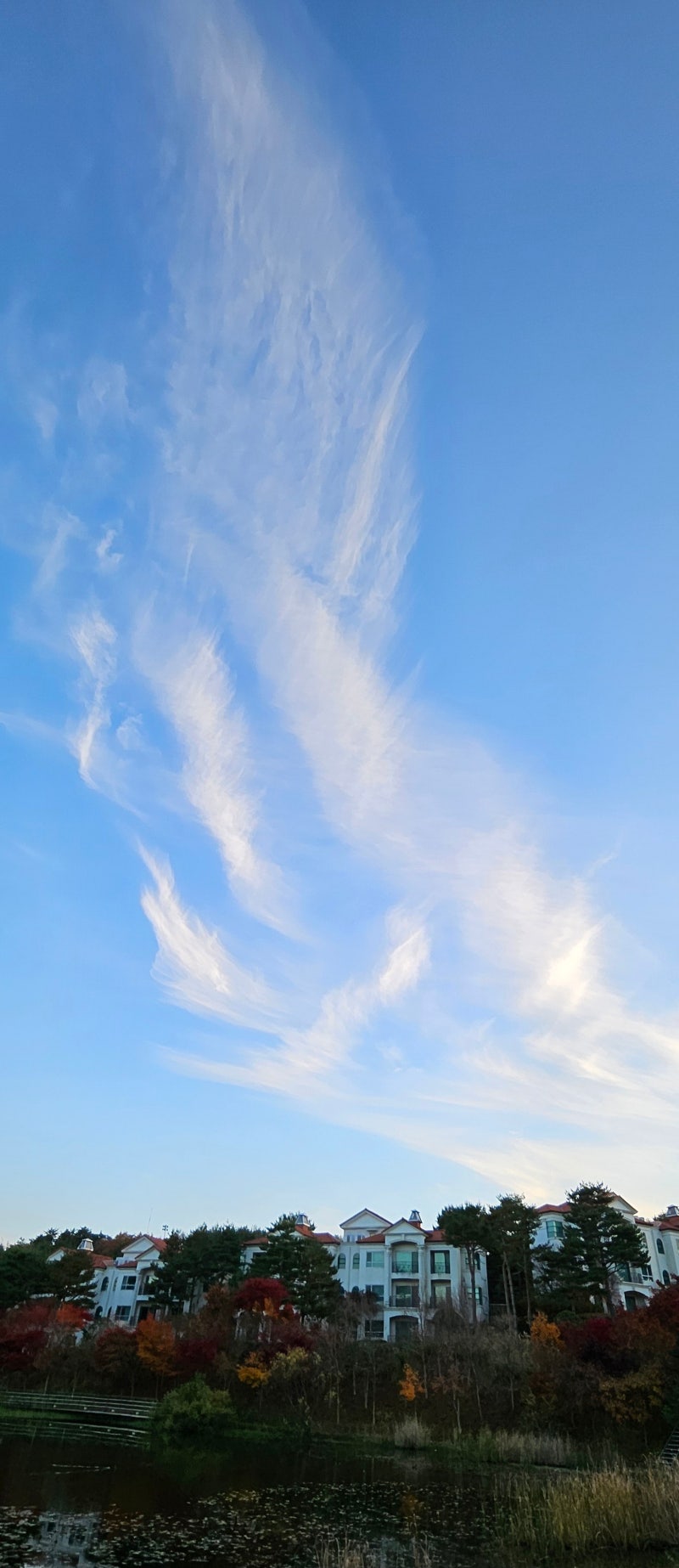 정책지식 2025.11.19. : 네이버 블로그