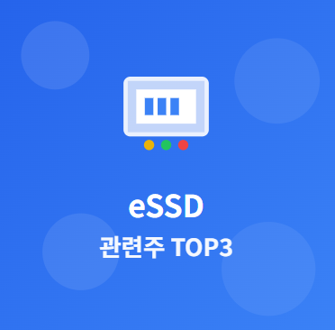  eSSD 관련주 · 대장주 TOP3 : AI 시대의 필수 인프라 수혜 