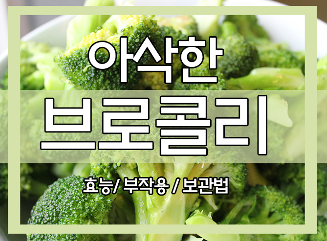  브로콜리 효능과 부작용 보관법 알아보기