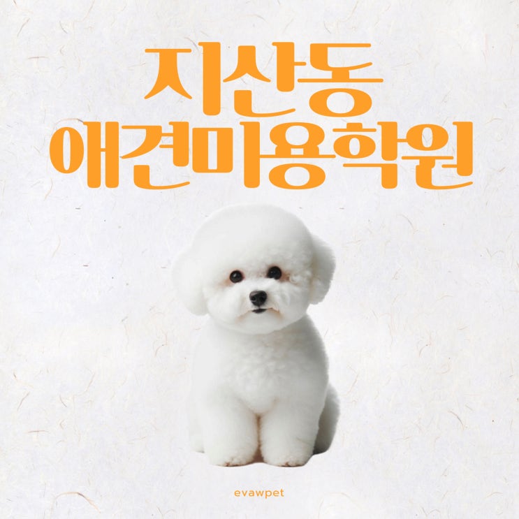  지산동애견미용학원 특별지원 후기