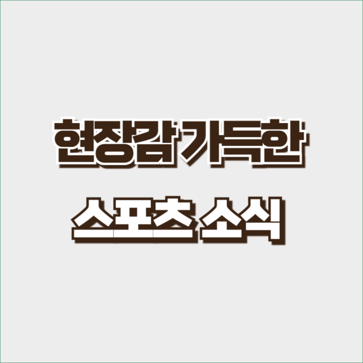 프로<b>농구</b> <b>우리은행 신한은행</b> 11월 23일 관전 분석