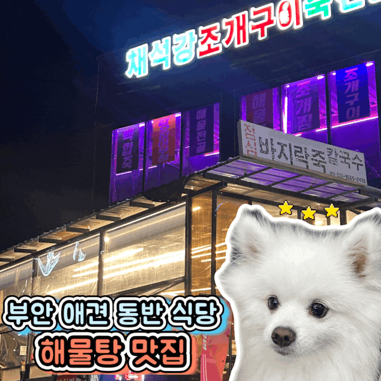  전북 부안 애견 동반 식당 해물탕 맛집 채석강 조개구이