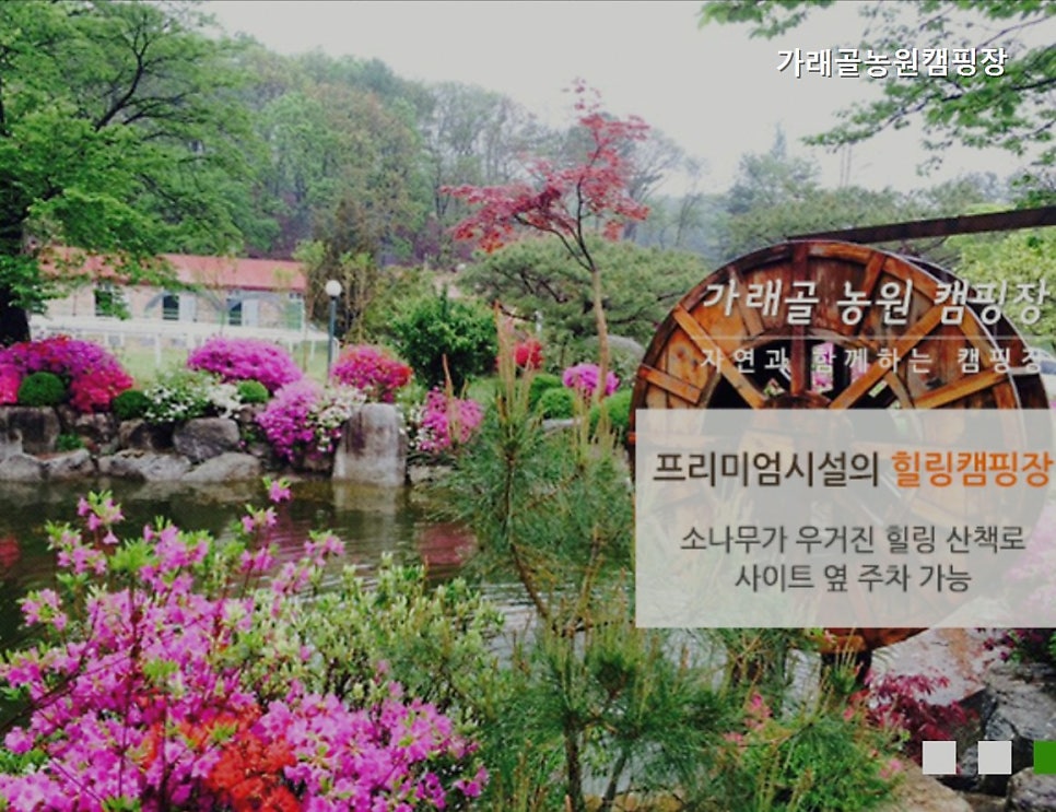 가래골농원 캠핑장 사진 1