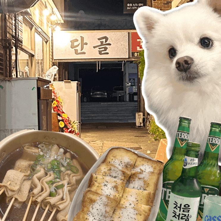  천안 쌍용동 야장 포차 단골 야외 애견 동반 가능이지만