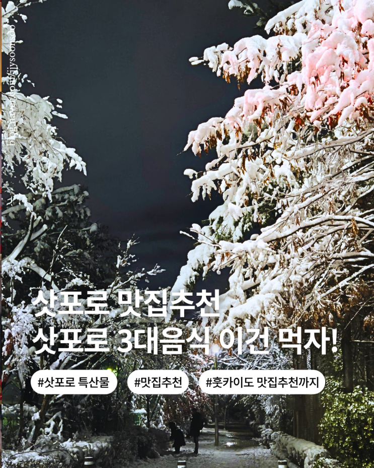  겨울 북해도 삿포로 여행 꼭 먹어야할 음식 top.3 맛집추천