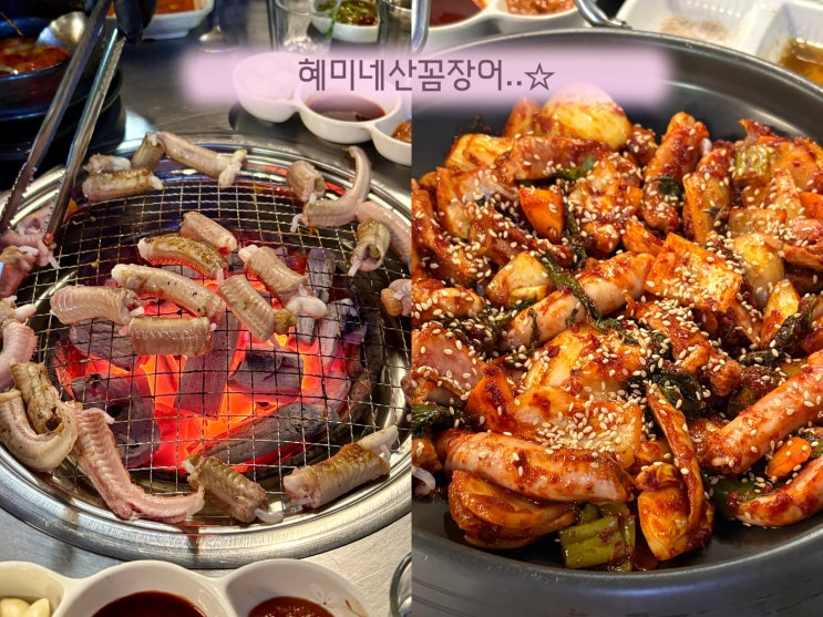  원주꼼장어 맛집 혜미네산꼼장어｜무실동 술집에서 즐기는 산꼼장어 맛집