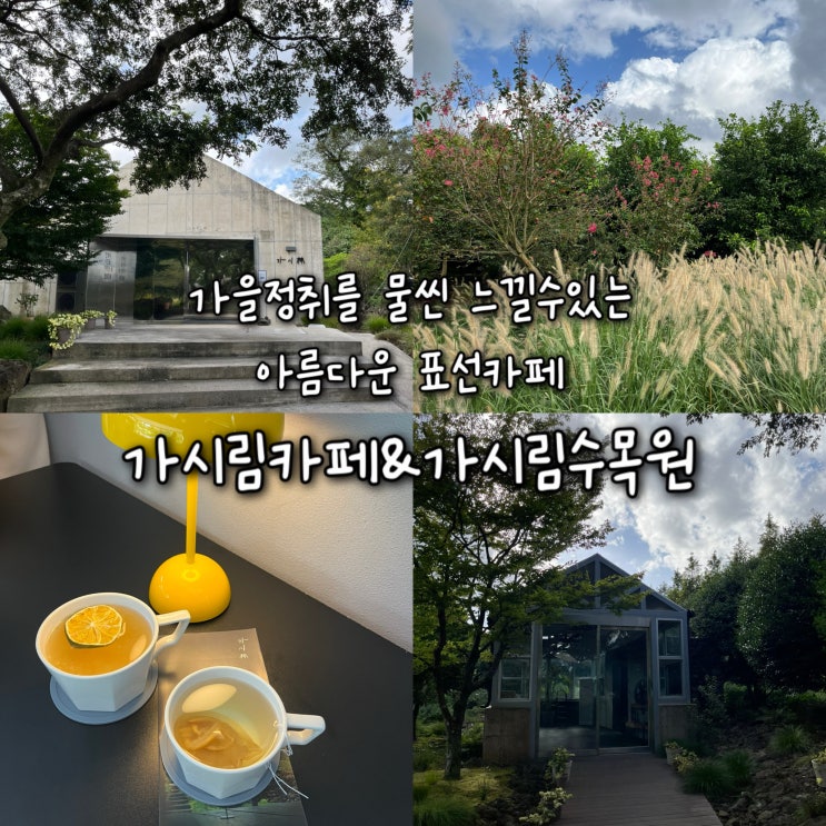  내돈내산 | 가을 정취를 물씬 느낄수있는 아름다운 가시림수목원을 품은 제주 표선카페 “가시림카페”