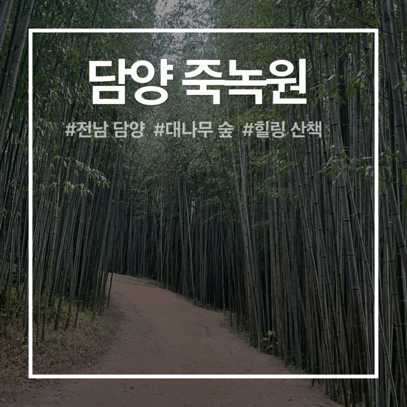 전남 담양 죽녹원 산책 및 한옥 숙소 후기 부모님 만족한 휴양지 담양 가볼만한 곳 추천