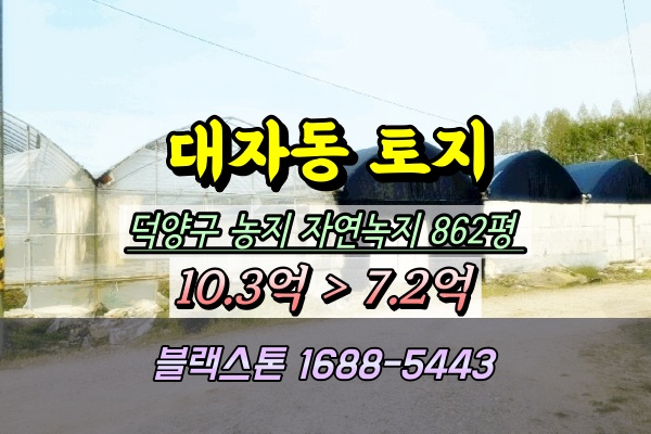  고양시 대자동 농지 경매 800평대 ◼︎2025타경62892