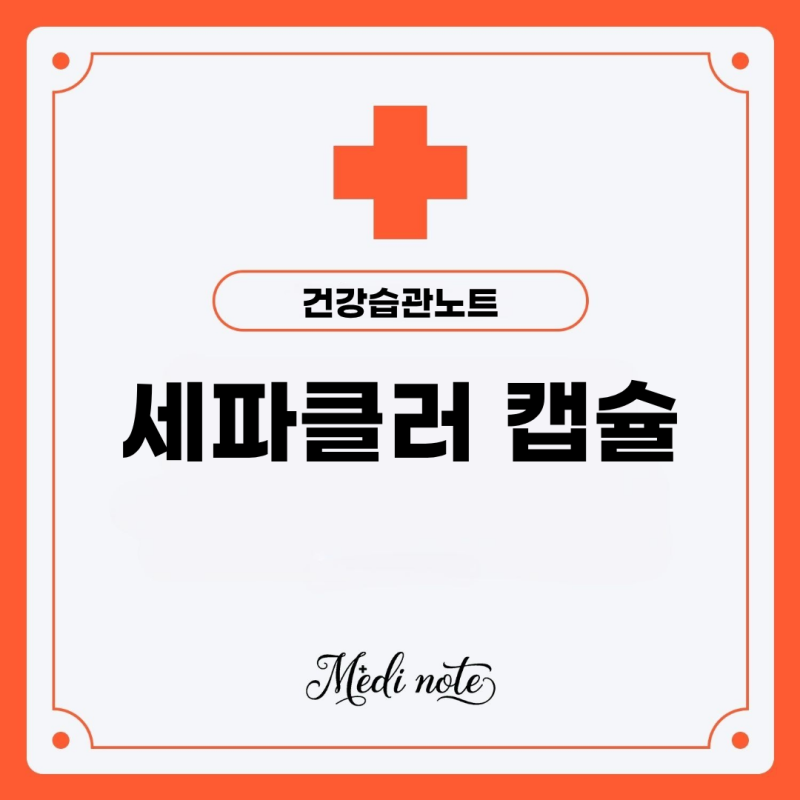 위더스 세파클러 캡슐 250mg 효능과 복용 시 주의사항